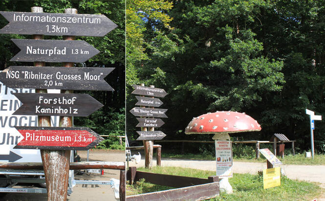 Fahrradtour durchs Ribnitzer Moor