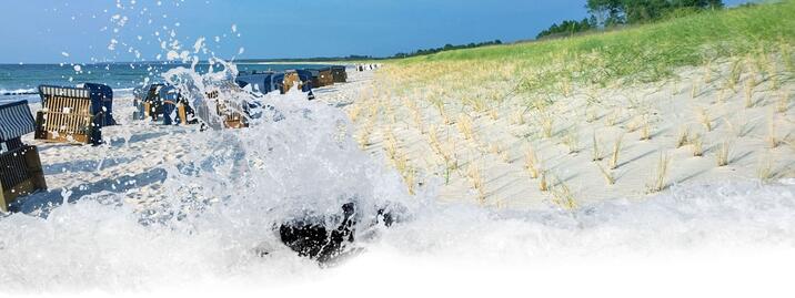 Ostsee & Bodden - Fischland-Darß-Zingst