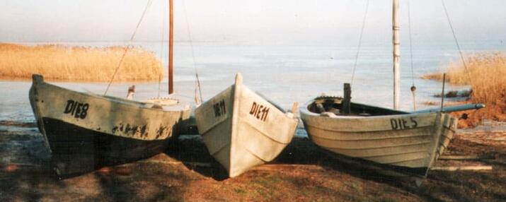 Traditionelle Feste - Fischland-Darß-Zingst