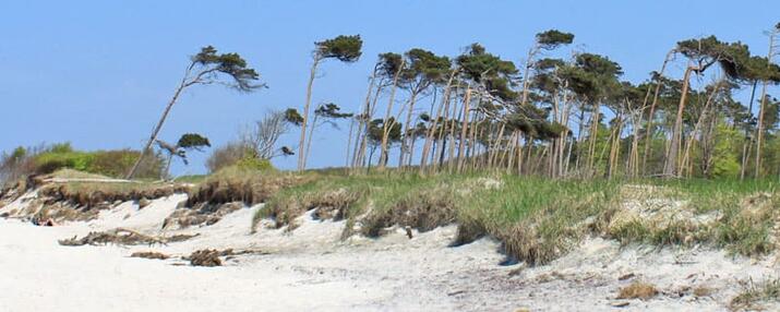 Zeitzeugen - Fischland-Darß-Zingst