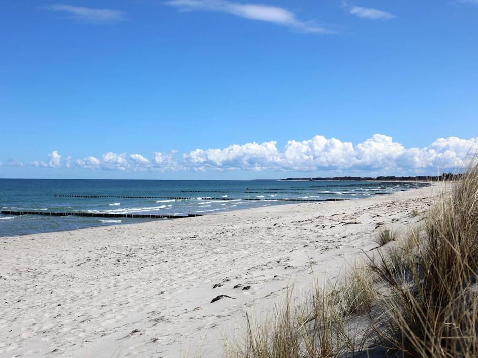 Strandabschnitte Fischland-Darß-Zingst finden